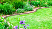 + Backyard Landscaping Ideas on a Budget That You NEED to Know