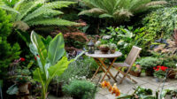 Small Garden Design Ideas BBC Gardeners World Magazine