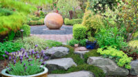 Drought-Tolerant Landscaping Ideas